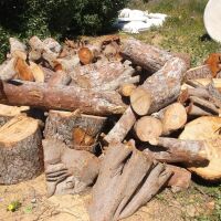 CAMIÓN GRANDE DE LEÑA