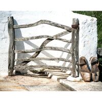 ALQUILO TERRENO AGRÍCOLA