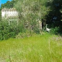 TODO TIPO DE TERRENO