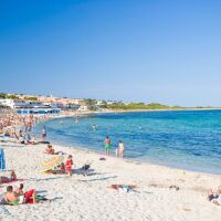 PRECISAMOS DEPENDIENTE/A PARA TIENDA