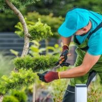 TRABAJADOR DE JARDINERÍA Y PINTURA 