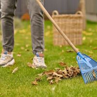 PRECISAMOS PERSONA PARA LIMPIEZA EN JARDINERÍA