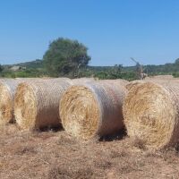 BALAS REDONDAS, HIERBA SECA RAY-GRASS