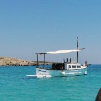 LLAUT CAPEADOR 36