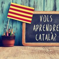 PROFESORA DE CATALÁN