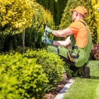 BUSCAMOS JARDINERO/A CON EXPERIENCIA 