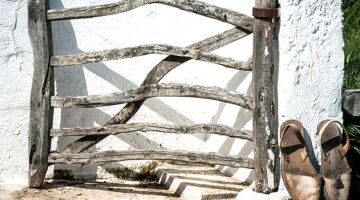 ALQUILO TERRENO AGRÍCOLA