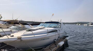 SEA RAY SUNDANCER 280