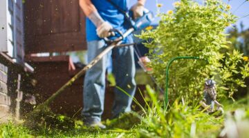 TRABAJO EN JARDÍN DURANTE TRES DÍAS