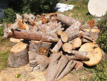 CAMIÓN GRANDE DE LEÑA