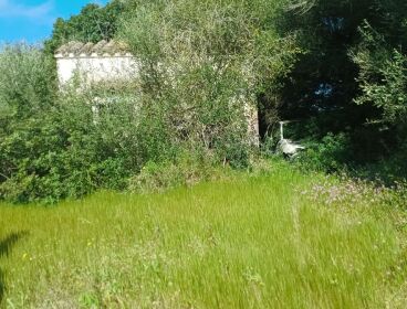 TODO TIPO DE TERRENO