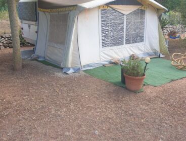 CARAVANA CON REMOLQUE VINTAGE