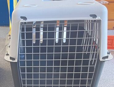 TRASPORTIN PARA PERRO