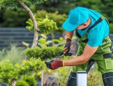 TRABAJADOR DE JARDINERÍA Y PINTURA 