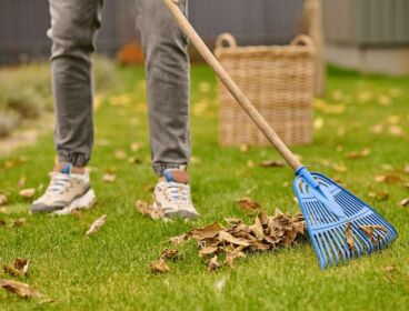 PRECISAMOS PERSONA PARA LIMPIEZA EN JARDINERÍA